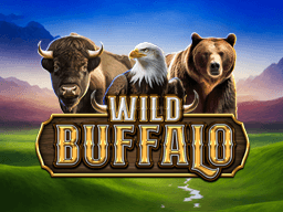 Wild Buffalo